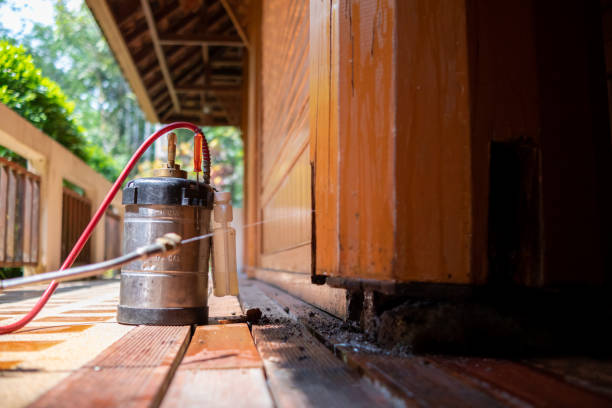 Best Cockroach Control Services  in Scotland Neck, NC