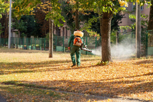 Best Wildlife Control Services  in Scotland Neck, NC